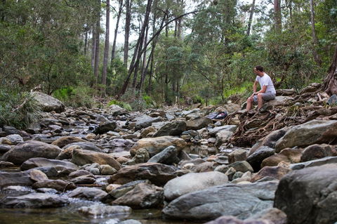 Rocksberg Park Heritage Reserve - Accommodation Gladstone 0