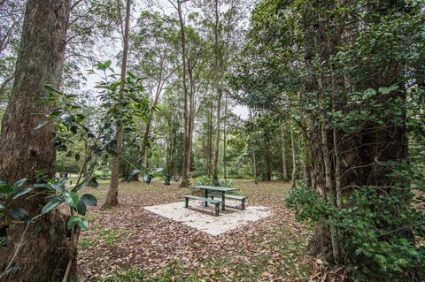 Rocksberg Park Heritage Reserve - Accommodation Gladstone 1