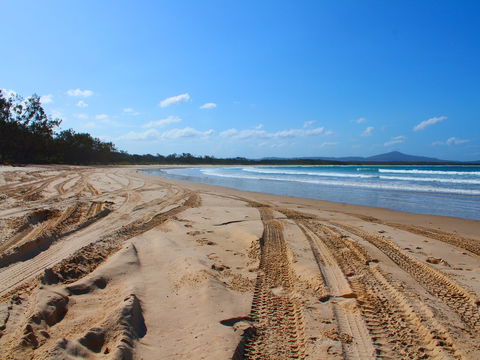 Sandon Beach - Accommodation Gladstone 2