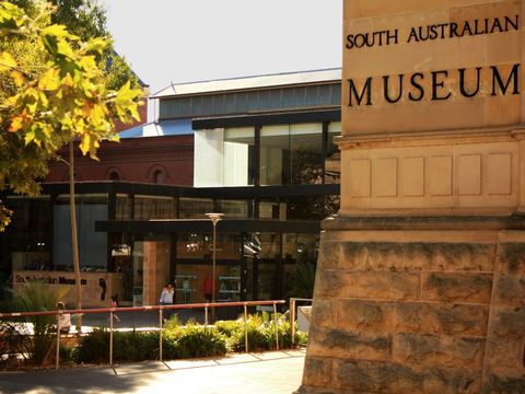 South Australian Museum - Accommodation Gladstone 0