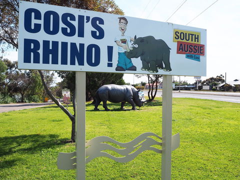 Tailem Bend Rhino Park And Dickson Reserve - Accommodation Gladstone 1
