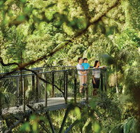 Tamborine Mountain - Accommodation Gladstone