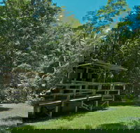 Terania Creek Picnic Area - Accommodation Gladstone