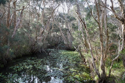 The Briars Park Walking Trails - Accommodation Gladstone 2
