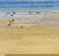 Towra Beach - Accommodation Gladstone