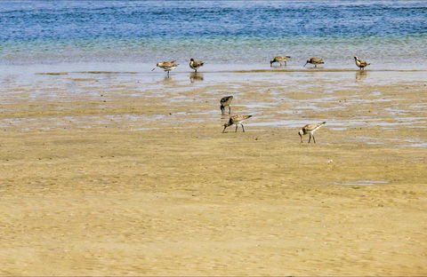 Towra Beach - Accommodation Gladstone 0