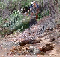 Turner Hill Mountain Bike Trail Murray - Accommodation Gladstone