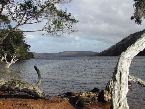 Walpole-Nornalup Inlet - Accommodation Gladstone 0