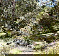 Wollomombi Walking Track - Accommodation Gladstone