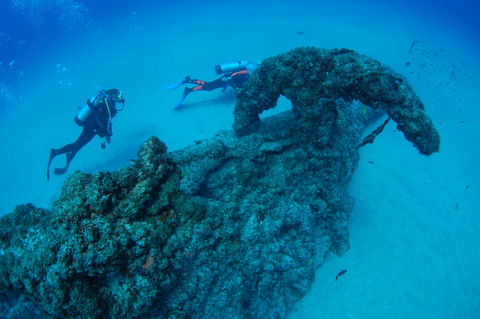 Aarhus Dive Site - Accommodation Gladstone 1