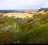 Archer Drive Scenic Drive and Lookout - Accommodation Gladstone