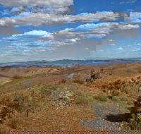 Arden Hills 4WD Track. - Accommodation Gladstone