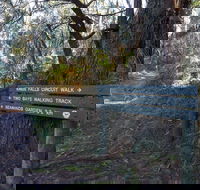 Arthurs Seat to Kings Falls Walk - Accommodation Gladstone