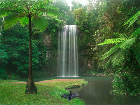Atherton Tablelands - Accommodation Gladstone 0