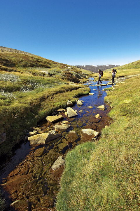 Australian Alps Walking Track - Accommodation Gladstone 0