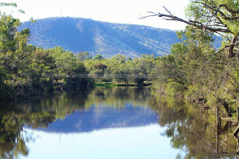 Avon Park - Accommodation Gladstone 1