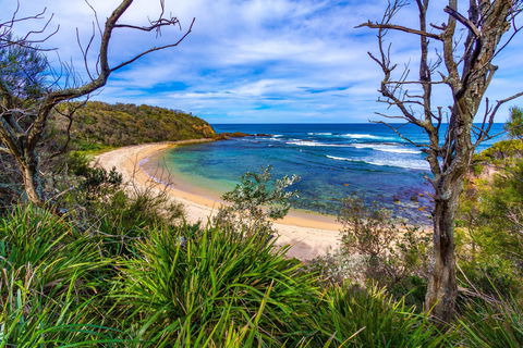 Bendalong (Inyadda) Beach - Accommodation Gladstone 0