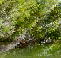 Berry Springs Nature Park - Accommodation Gladstone