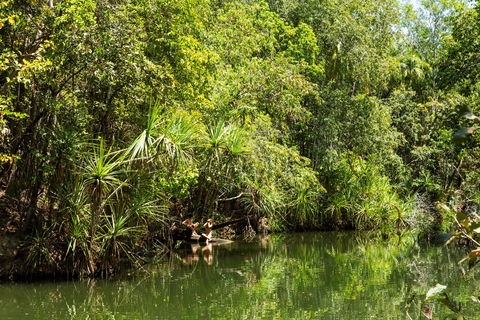 Berry Springs Nature Park - Accommodation Gladstone 0