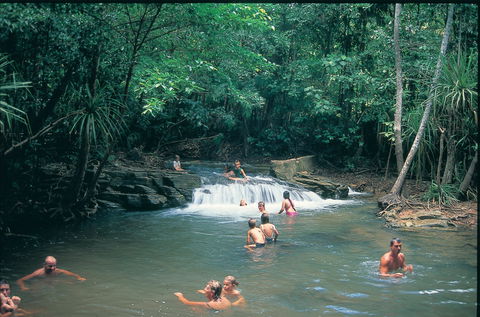 Berry Springs Nature Park - Accommodation Gladstone 1