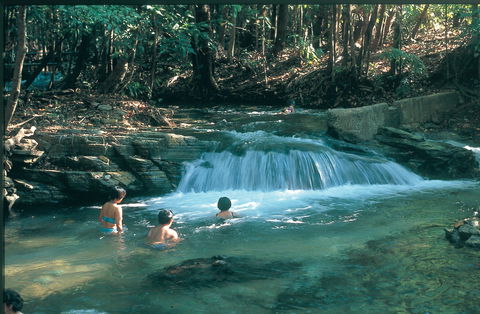 Berry Springs Nature Park - Accommodation Gladstone 2
