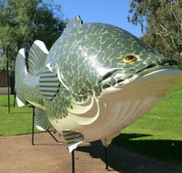 Big Murray Cod - Accommodation Gladstone