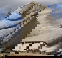 Big Merino - Accommodation Gladstone