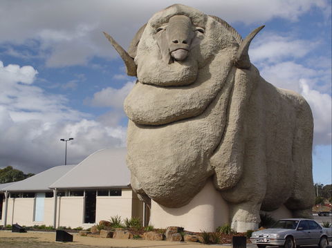 Big Merino - Accommodation Gladstone 0