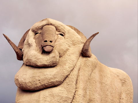 Big Merino - Accommodation Gladstone 1