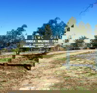 Bindea Walking Track - Accommodation Gladstone