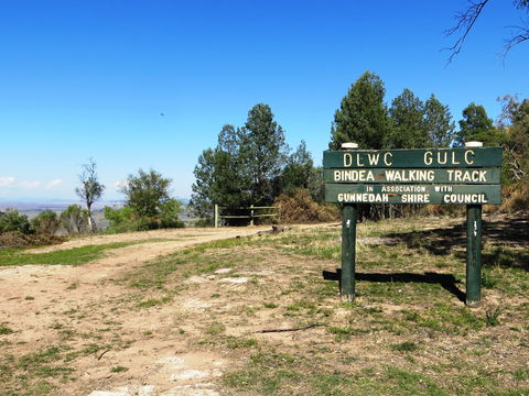 Bindea Walking Track - Accommodation Gladstone 0