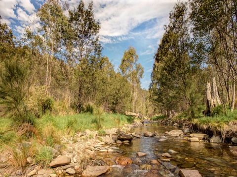 Brindabella National Park - Accommodation Gladstone 2