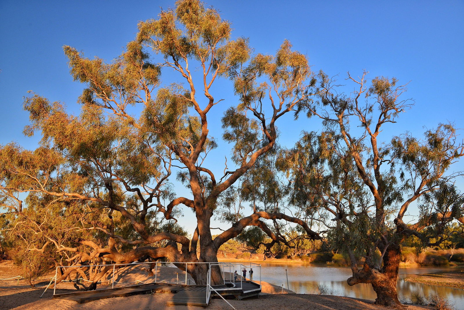 Durham Downs QLD Accommodation Gladstone