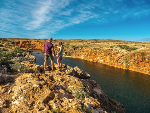 Cape Range Wildflower Trail - Accommodation Gladstone 0