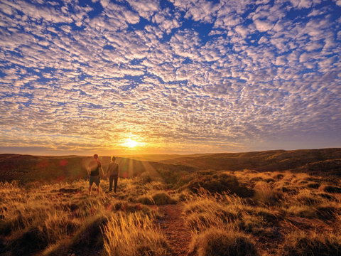 Cape Range Wildflower Trail - Accommodation Gladstone 2