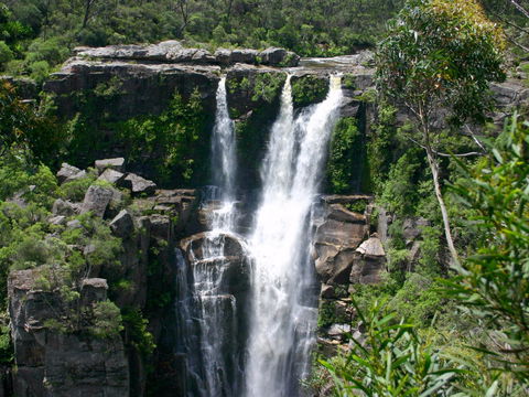 Carrington Falls - Accommodation Gladstone 0