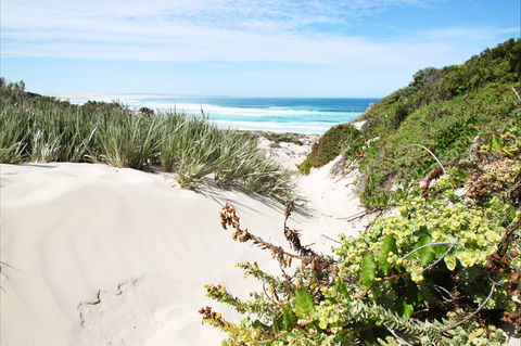Coffin Bay National Park - Accommodation Gladstone 1