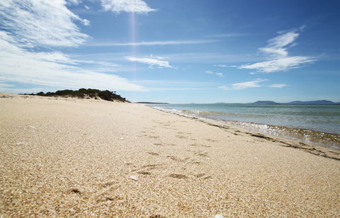 Coffin Bay National Park - Accommodation Gladstone 2