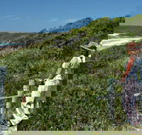 Conjola Beach Picnic Area - Accommodation Gladstone