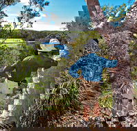 Corkwood and Scribbly Gum Walking Track - Accommodation Gladstone