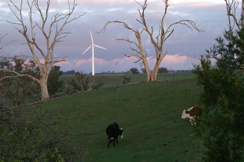 Crookwell Wind Farm - Accommodation Gladstone 1