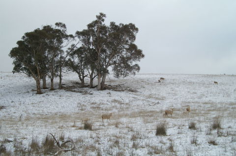 Crookwell Wind Farm - Accommodation Gladstone 2