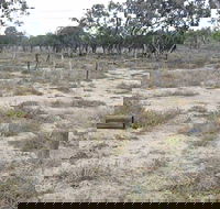 Culgoa Connellys Track - Accommodation Gladstone