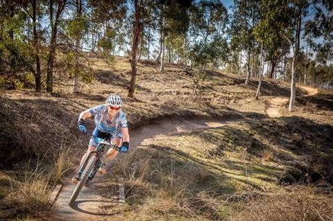 Cycle Mogo State Forest - Accommodation Gladstone 0