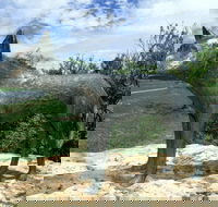 Dingo Statue - Accommodation Gladstone