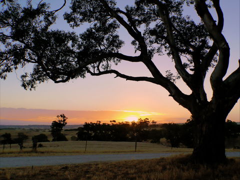 Eden Valley Lookout - Accommodation Gladstone 0