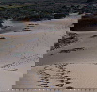 Foreshore Walk Mungo National Park - Accommodation Gladstone