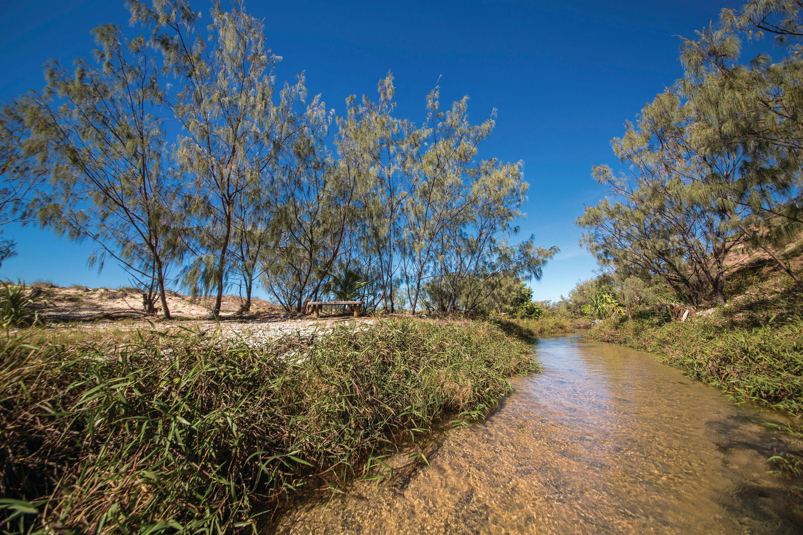 Farnborough QLD Accommodation Gladstone