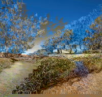 Freshwater Creek Track Byfield National Park - Accommodation Gladstone
