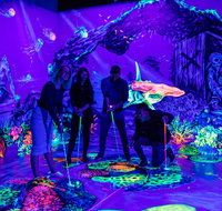 Glowing Rooms 3D Mini Golf - Accommodation Gladstone